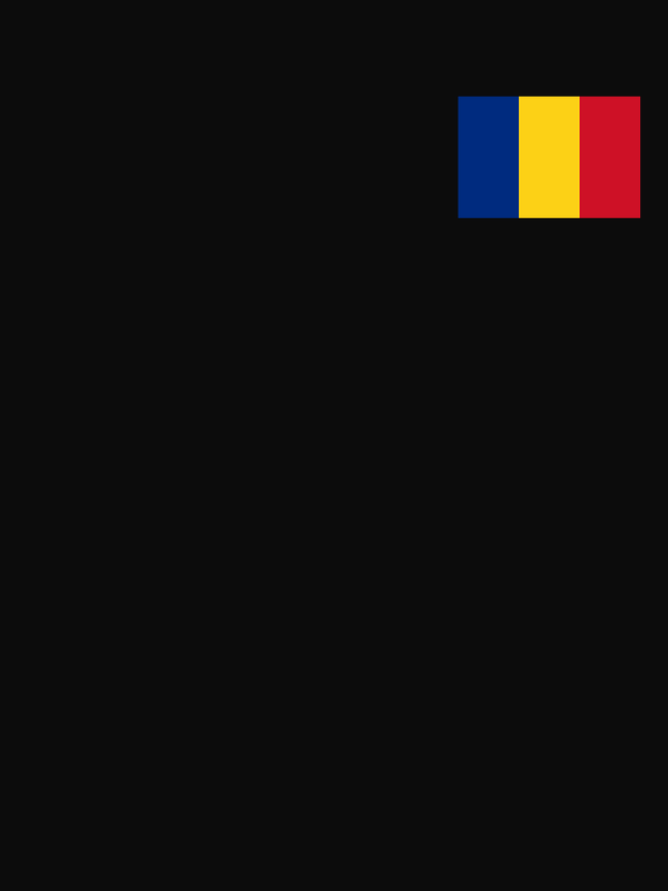 Romania Flag T-Shirt - Black - Decorate View