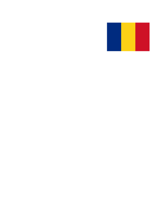 Romania Flag T-Shirt - White - Decorate View