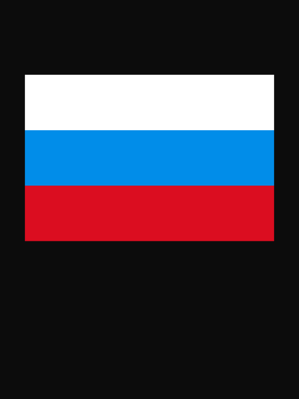 Russia Flag T-Shirt - Black - Decorate View