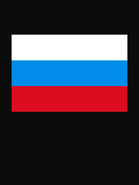 Thumbnail for Russia Flag T-Shirt - Black - Decorate View