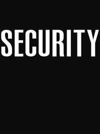 Thumbnail for Security T-Shirt - Black - Decorate View