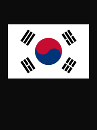 Thumbnail for South Korea Flag T-Shirt - Black - Decorate View