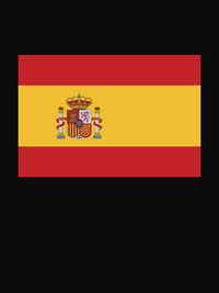 Thumbnail for Spain Flag T-Shirt - Black - Decorate View
