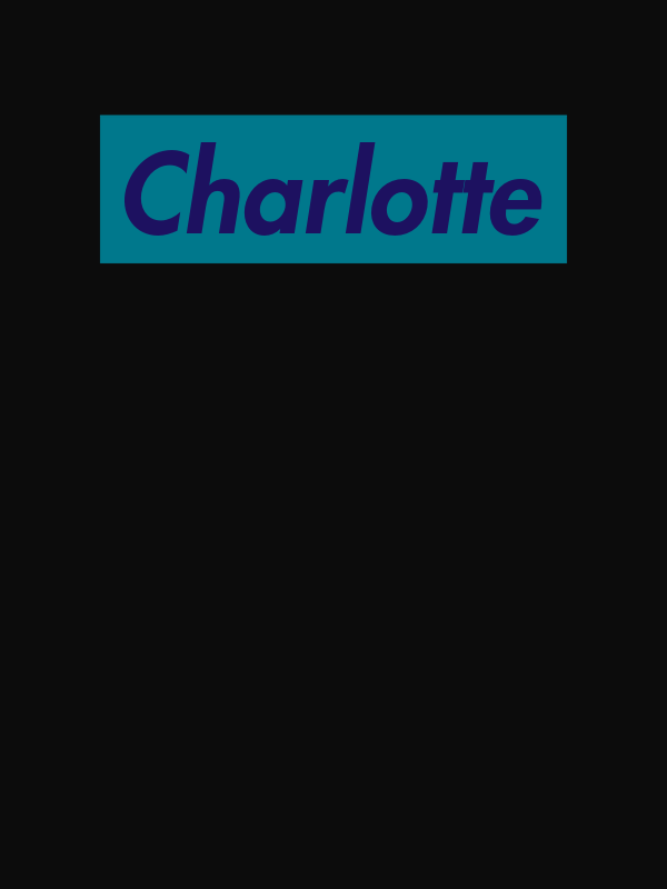 Personalized Streetwear T-Shirt - Black - Charlotte - Decorate View