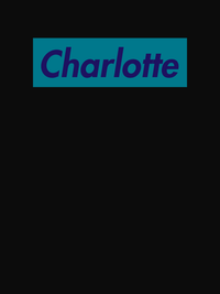Thumbnail for Personalized Streetwear T-Shirt - Black - Charlotte - Decorate View