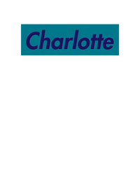 Thumbnail for Personalized Streetwear T-Shirt - White - Charlotte - Decorate View