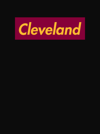 Thumbnail for Personalized Streetwear T-Shirt - Black - Cleveland - Decorate View
