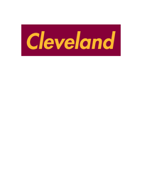 Thumbnail for Personalized Streetwear T-Shirt - White - Cleveland - Decorate View