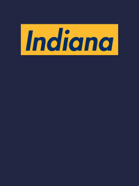 Thumbnail for Personalized Streetwear T-Shirt - Navy Blue - Indiana - Decorate View