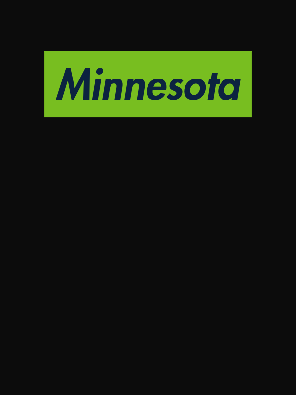 Personalized Streetwear T-Shirt - Black - Minnesota - Decorate View