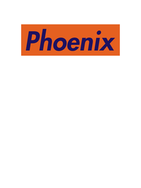 Thumbnail for Personalized Streetwear T-Shirt - White - Phoenix - Decorate View