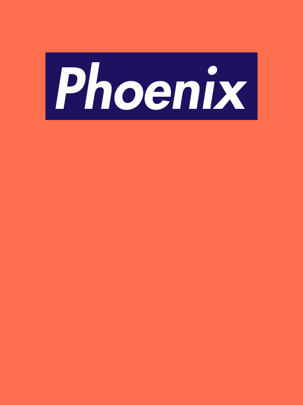 Personalized Streetwear T-Shirt - Orange - Phoenix - Decorate View