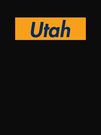 Thumbnail for Personalized Streetwear T-Shirt - Black - Utah - Decorate View