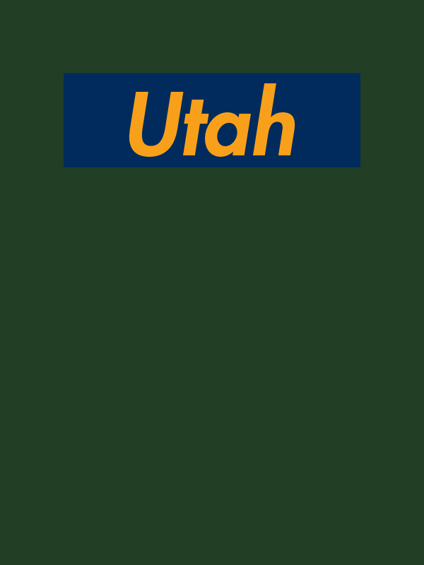 Personalized Streetwear T-Shirt - Green - Utah - Decorate View