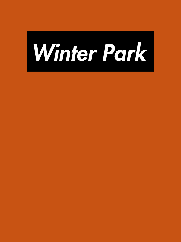Personalized Streetwear T-Shirt - Orange - Winter Park - Decorate View