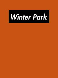 Thumbnail for Personalized Streetwear T-Shirt - Orange - Winter Park - Decorate View