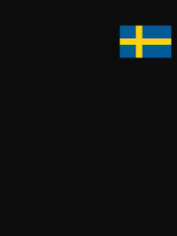 Thumbnail for Sweden Flag T-Shirt - Black - Decorate View