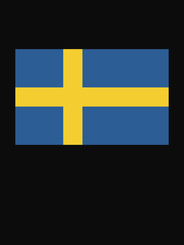 Sweden Flag T-Shirt - Black - Decorate View