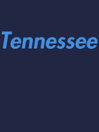 Thumbnail for Personalized Tennessee T-Shirt - Blue - Decorate View