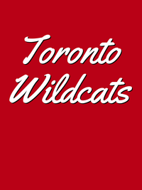 Thumbnail for Personalized Toronto T-Shirt - Red - Decorate View