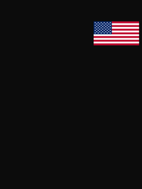 Thumbnail for United States of America Flag T-Shirt - Black - Decorate View