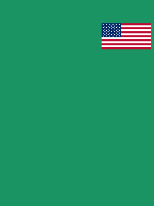 United States of America Flag T-Shirt - Green - Decorate View