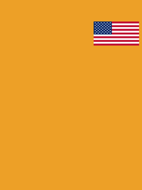 Thumbnail for United States of America Flag T-Shirt - Mustard - Decorate View