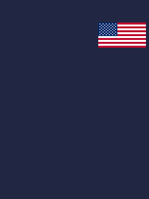 United States of America Flag T-Shirt - Navy Blue - Decorate View