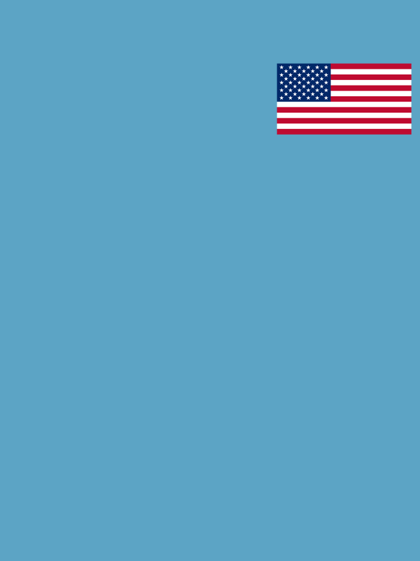 United States of America Flag T-Shirt - Ocean Blue - Decorate View