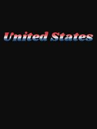 Thumbnail for United States of America T-Shirt - Black - Decorate View