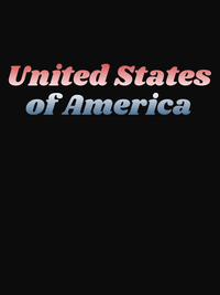 Thumbnail for United States of America T-Shirt - Black - Decorate View