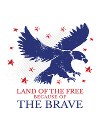 Thumbnail for USA T-Shirt - White - Land of the Free - Decorate View