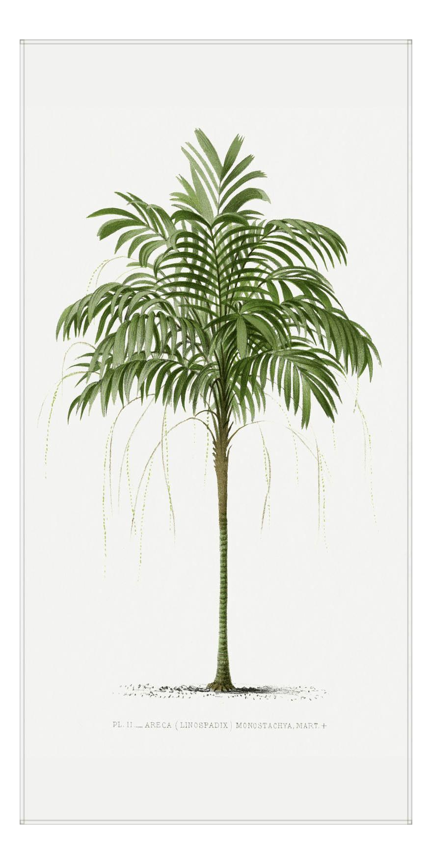 Vintage Palm Tree Beach Towel - Front View