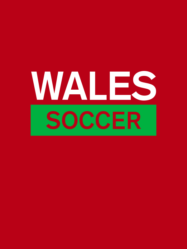 Wales Soccer T-Shirt - Red - Decorate View