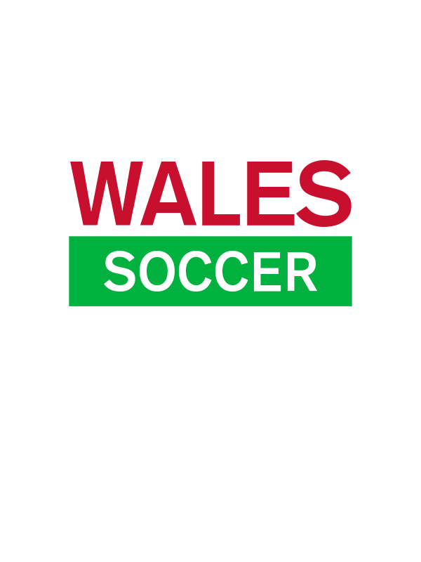 Wales Soccer T-Shirt - White - Decorate View