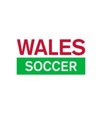 Thumbnail for Wales Soccer T-Shirt - White - Decorate View