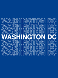 Thumbnail for Washington DC T-Shirt - Blue - Decorate View